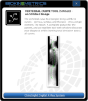 Vertebra Curve Tool (Single)